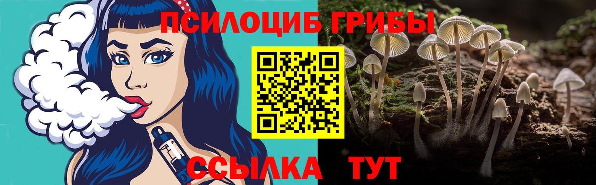 Псилоцибиновые грибы GOLDEN TEACHER  Галлюциногенные грибы прущие грибы  Сызрань  Вход с VPN 